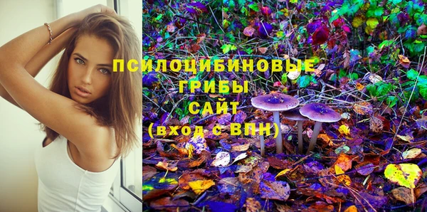МДПВ Алексеевка